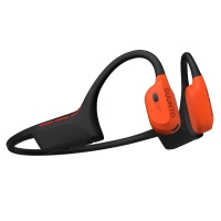 wing 2 coral VII.png