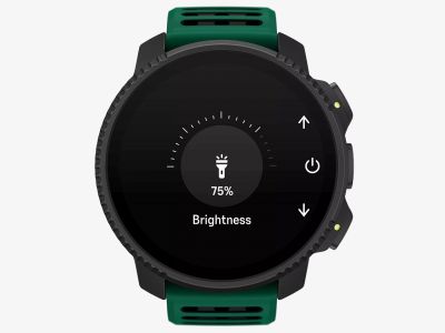 Vertical 2 Pine Green VII.png