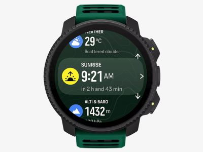 Vertical 2 Pine Green XII.png