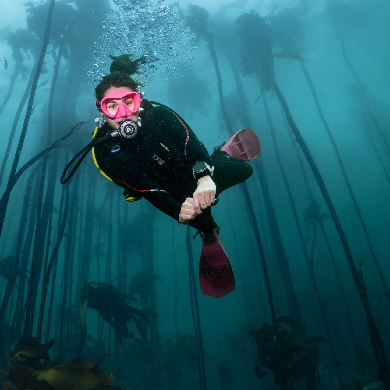 dive-feature-1.jpg